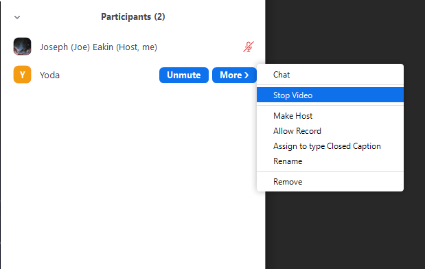 Screenshot showing how to stop the video of a participant