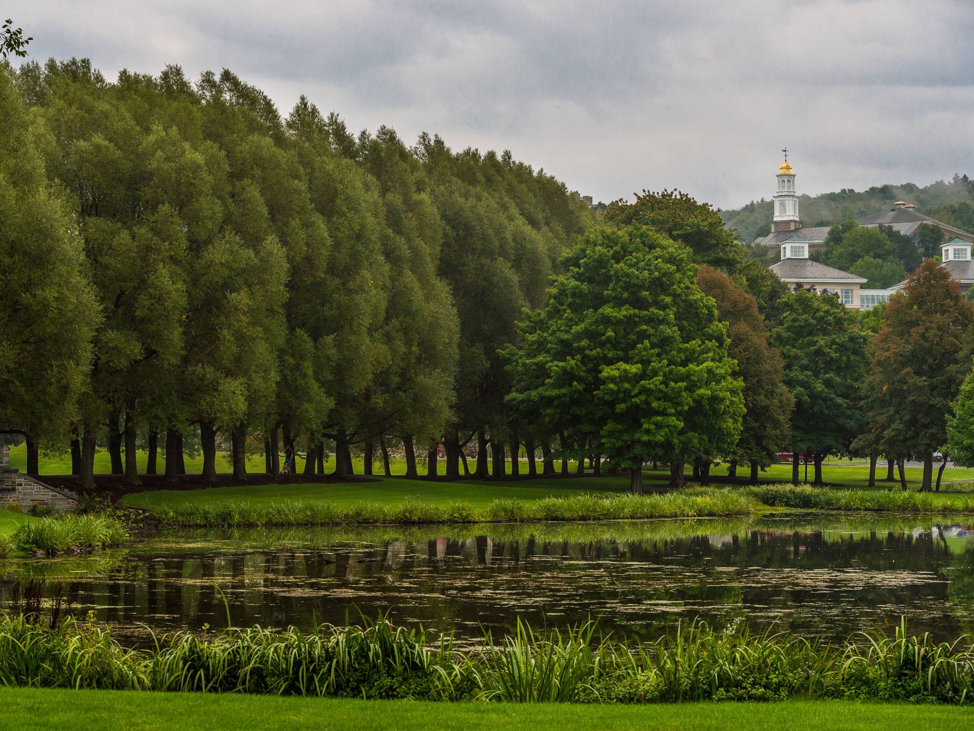Willow path and campus