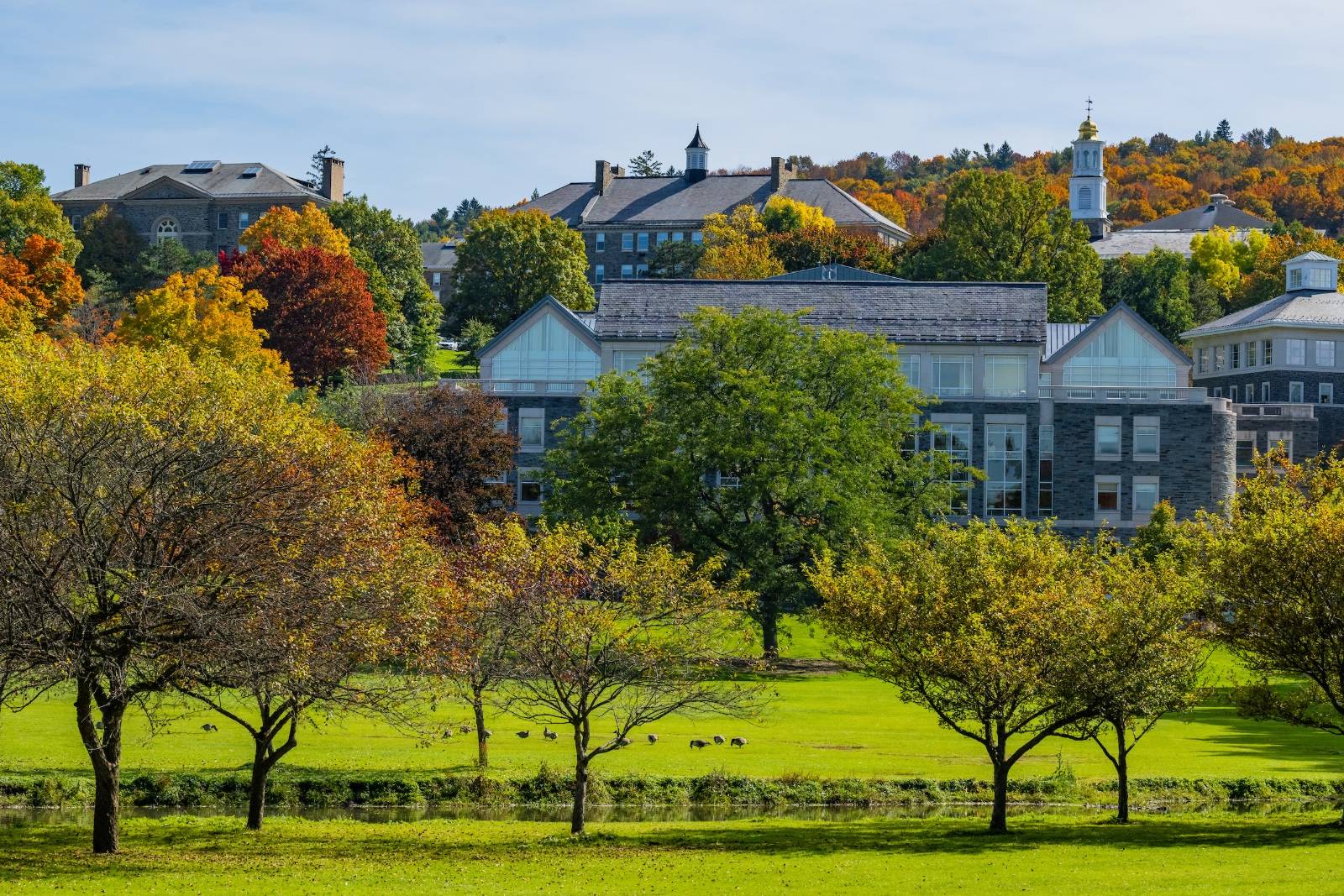 Image of Case Library in the fall